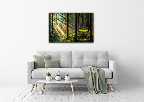Bild Beautiful forest - 90 x 60 cm