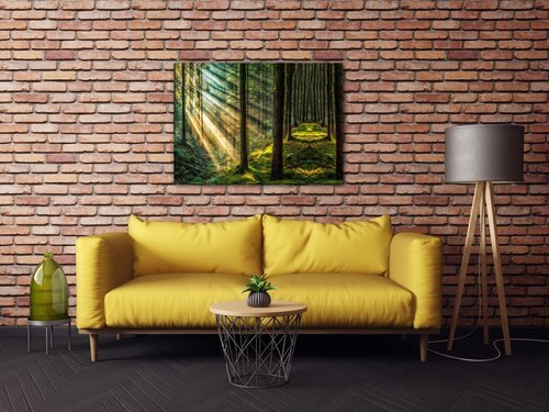 Bild Beautiful forest - 70 x 50 cm