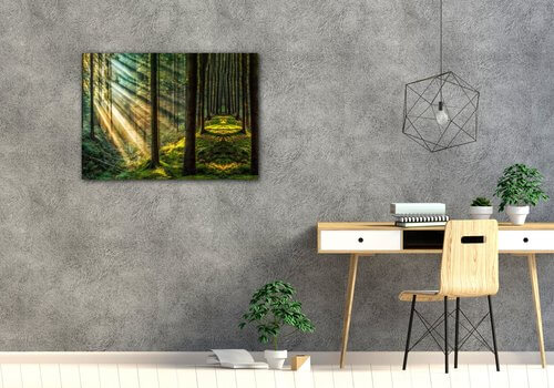 Bild Beautiful forest - 70 x 50 cm