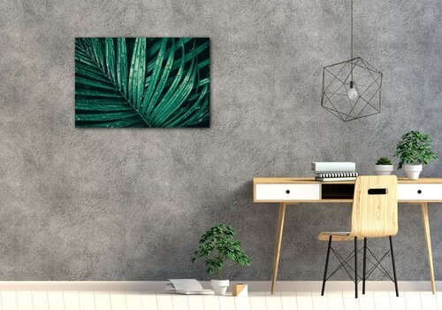 Bild Green leaf with drops of water - 60 x 40 cm