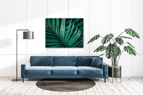 Bild Green leaf with drops of water - 90 x 70 cm