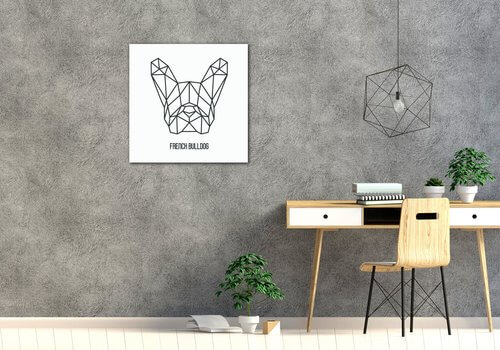 Bild French Bulldog White Background - 70 x 70 cm