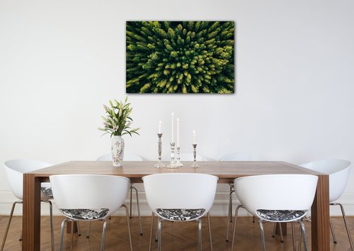 Bild Forest - 90 x 60 cm