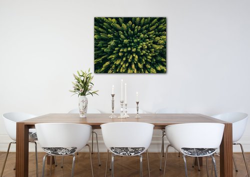 Bild Forest - 90 x 70 cm
