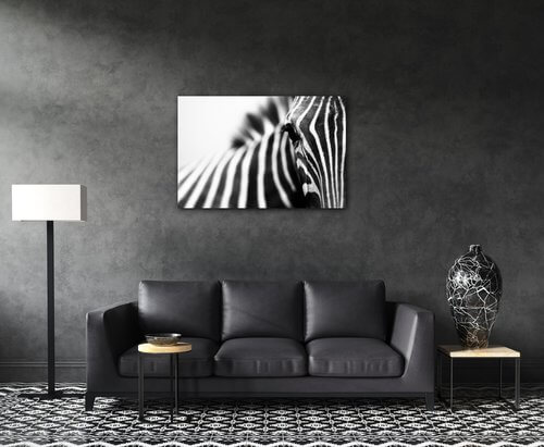 Bild Zebra detail - 60 x 40 cm