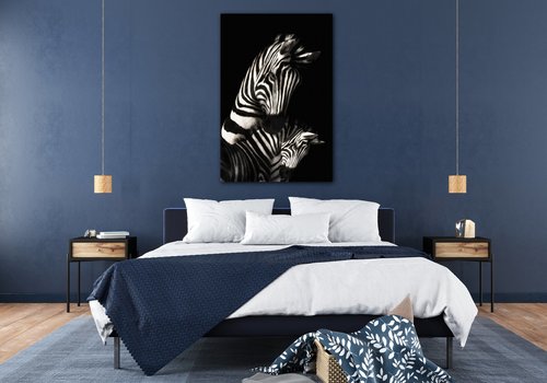 Bild Zebras black and white - 60 x 90 cm
