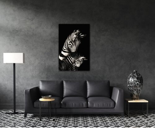 Bild Zebras black and white - 60 x 90 cm