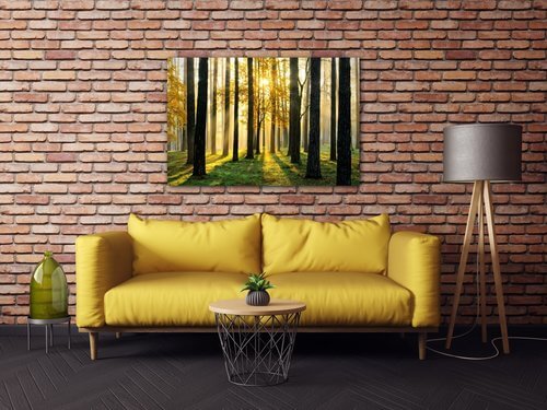 Bild Trees and sunshine - 60 x 40 cm