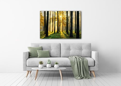 Bild Trees and sunshine - 60 x 40 cm