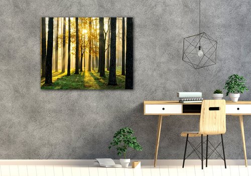 Bild Trees and sunshine - 90 x 70 cm