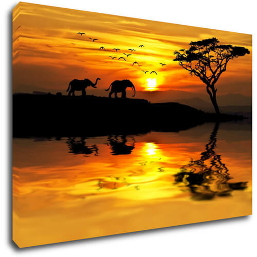 Bild Safari sunset
