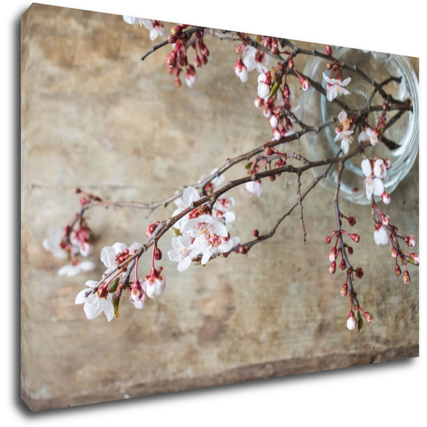 Bild Pink blossom - 90 x 60 cm