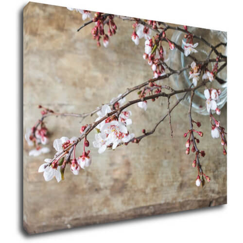 Bild Pink blossom