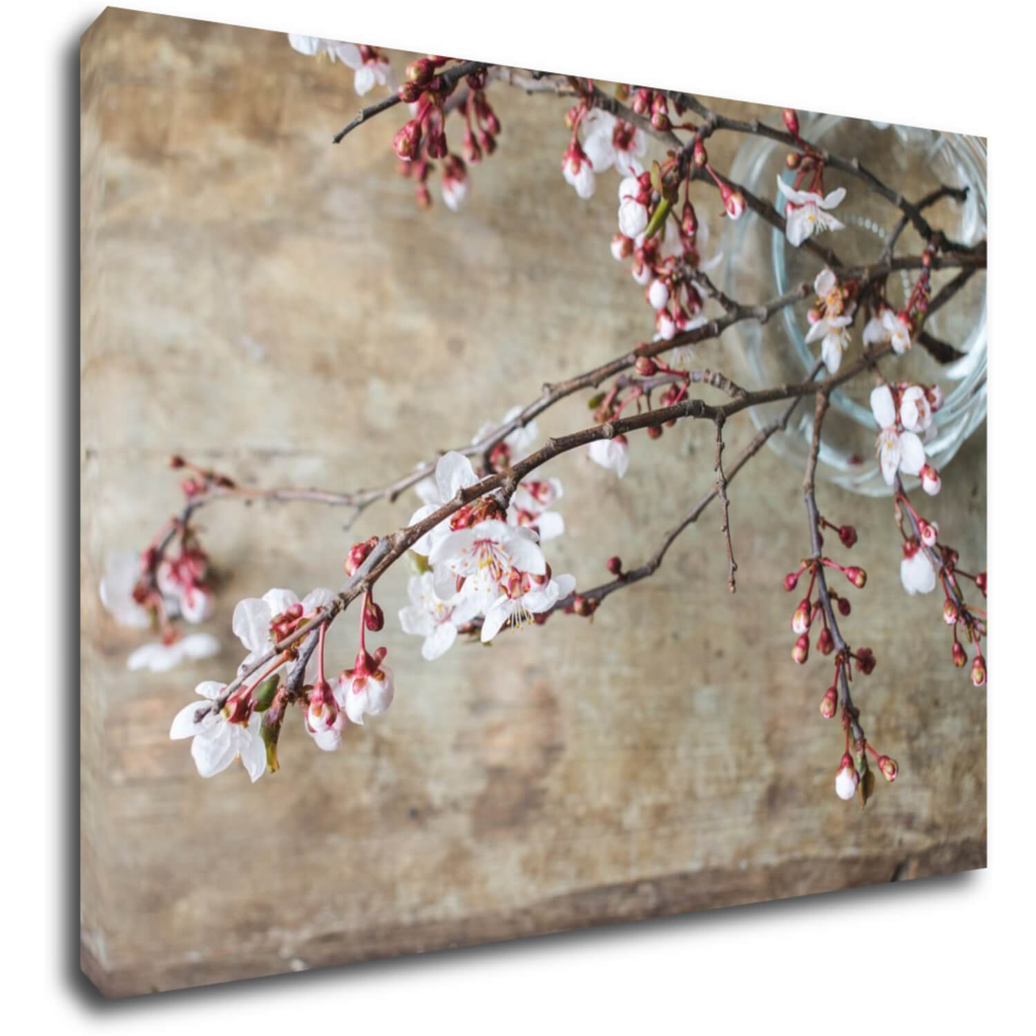 Bild Pink blossom - 70 x 50 cm