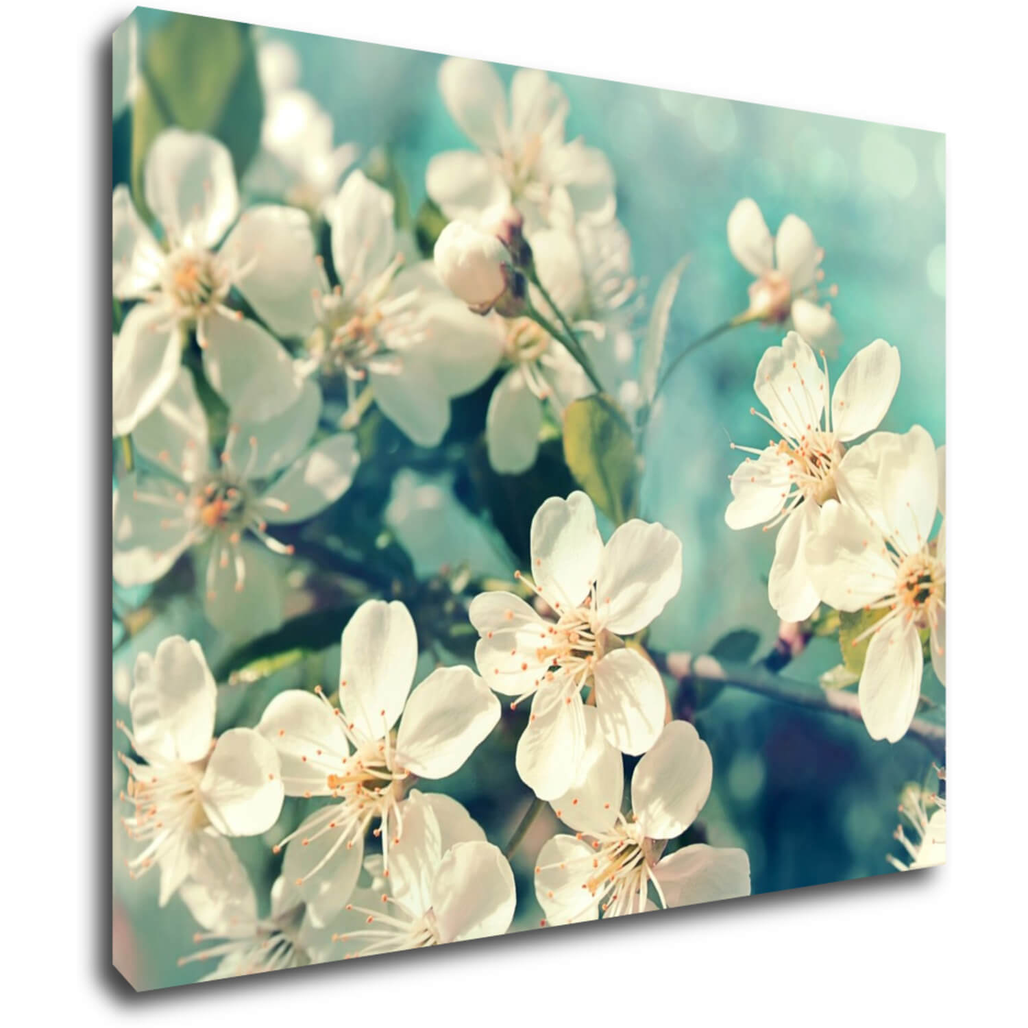Bild Blue background cherry blossom - 90 x 70 cm