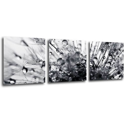 Bild Flower with little drops of water - 90 x 30 cm (3-teiliges)
