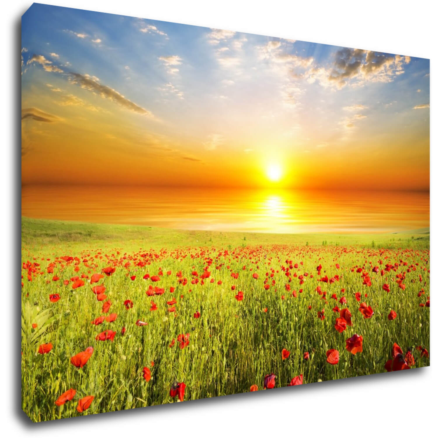 Bild Poppies field - 60 x 40 cm