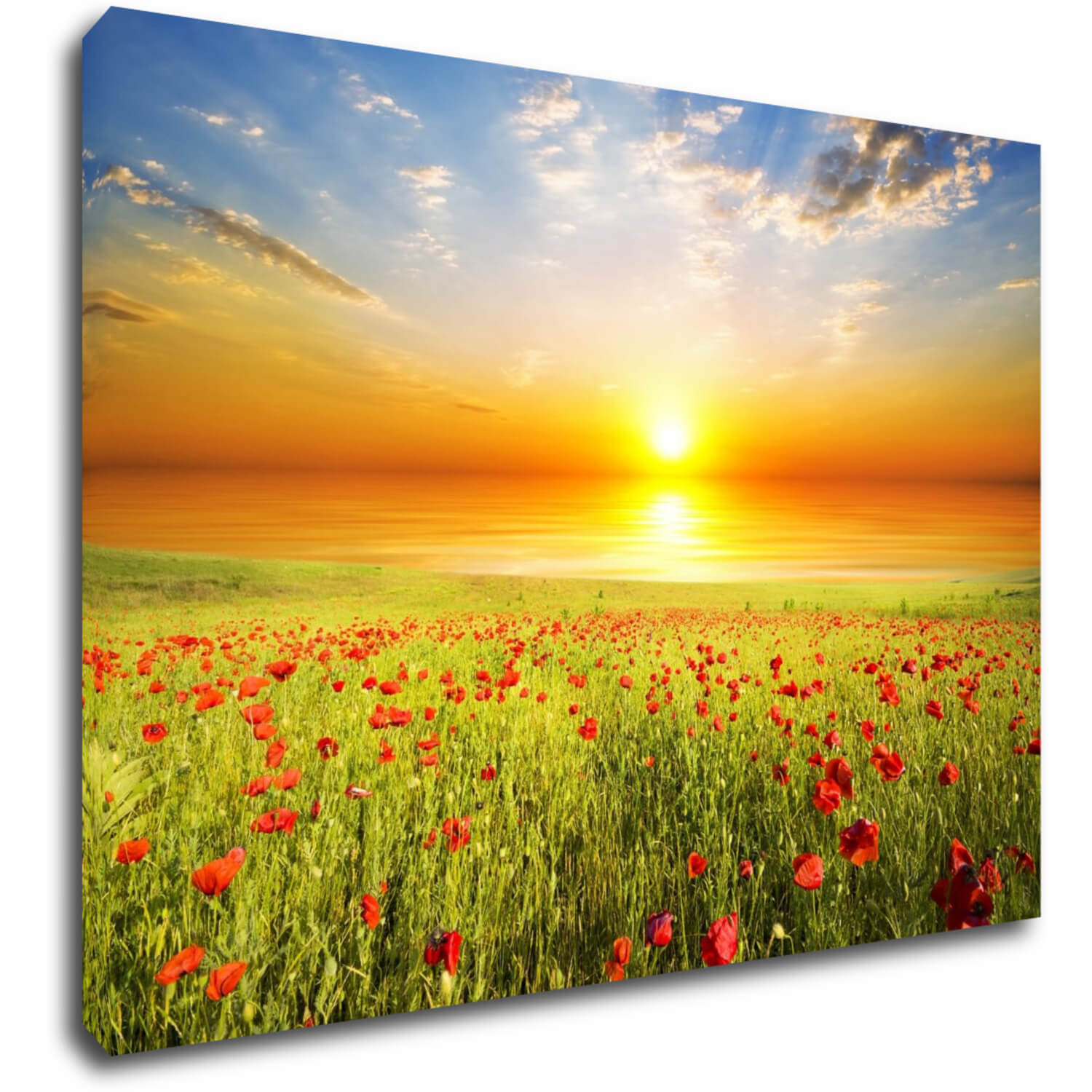 Bild Poppies field - 70 x 50 cm