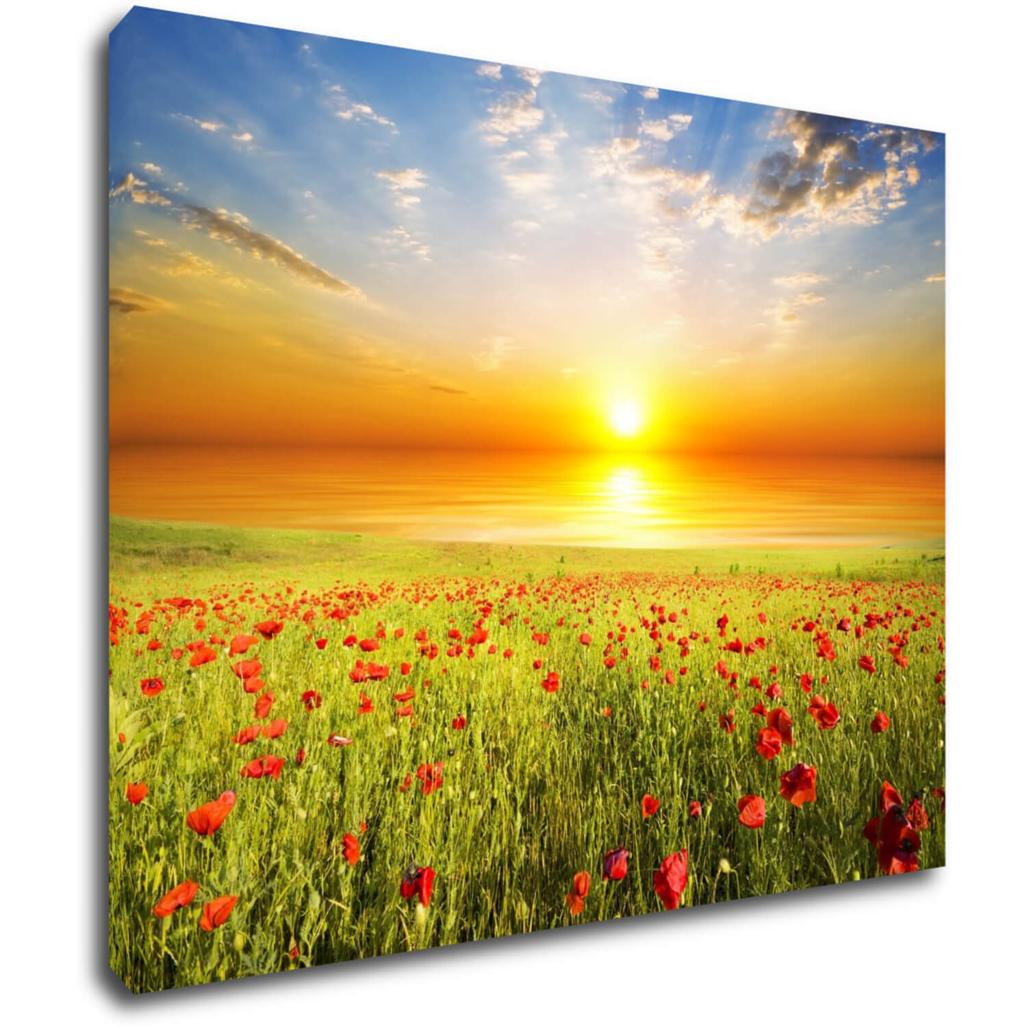 Bild Poppies field - 90 x 70 cm