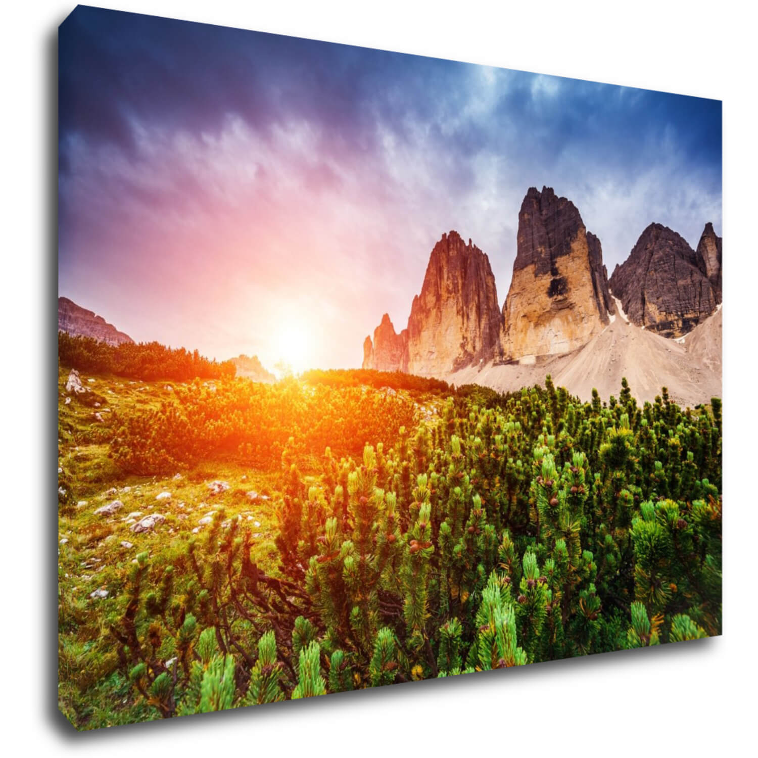 Bild Mountain and forest - 70 x 50 cm