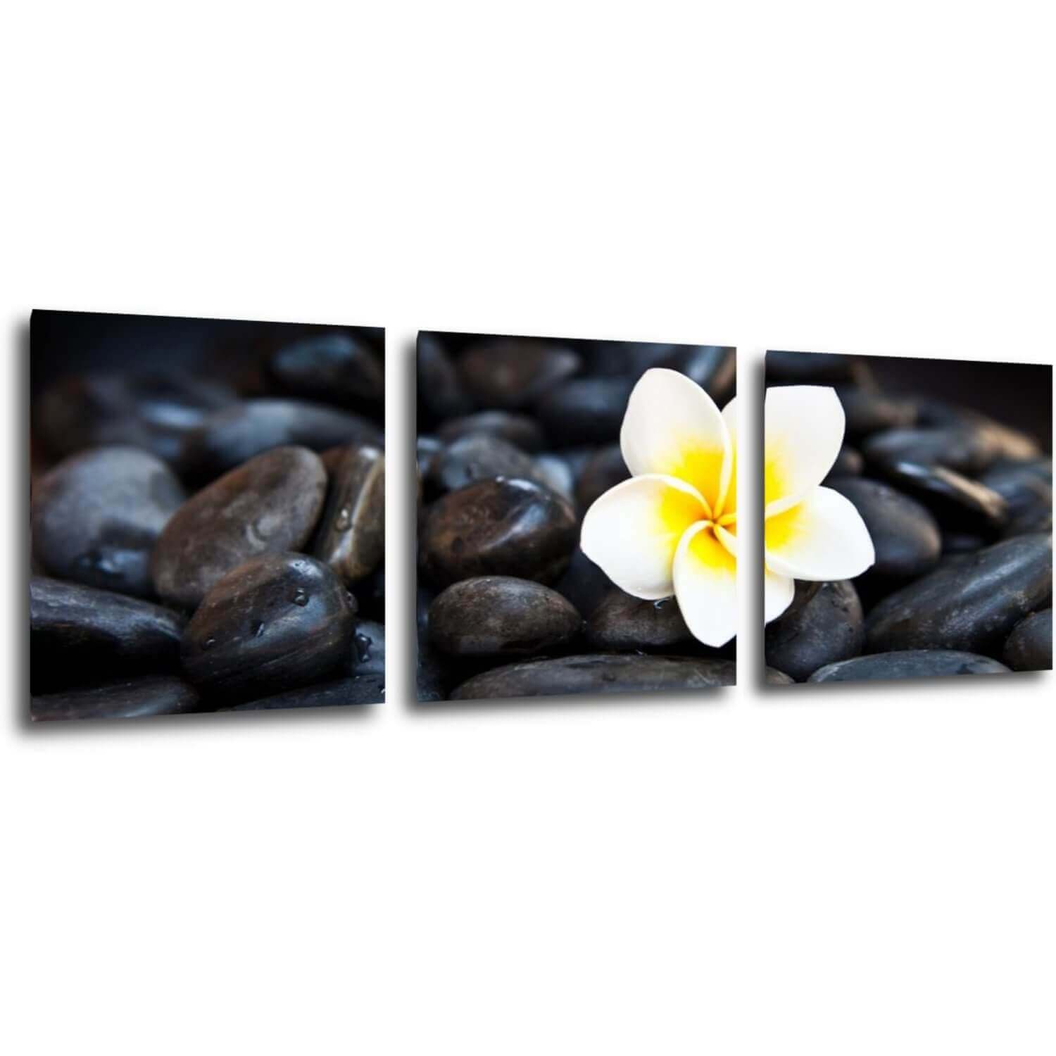 Bild White blossom on black stones - 90 x 30 cm (3-teiliges)