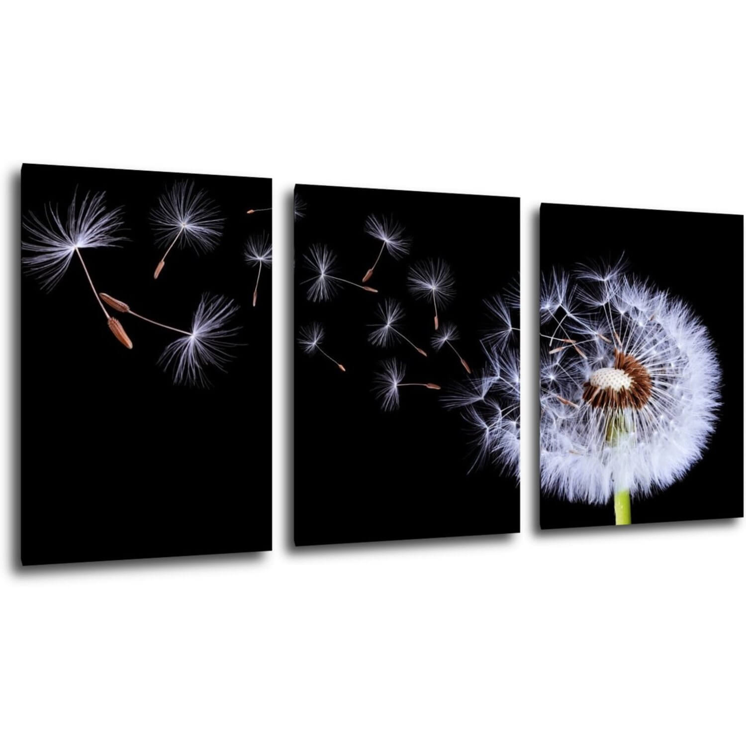 Bild Dandelion black and green - 150 x 70 cm (3-teiliges)