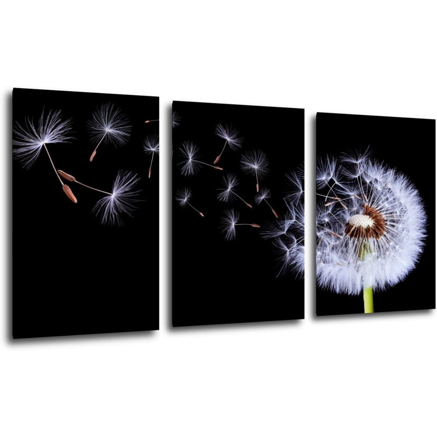 Bild Dandelion black and green - 120 x 60 cm (3-teiliges)