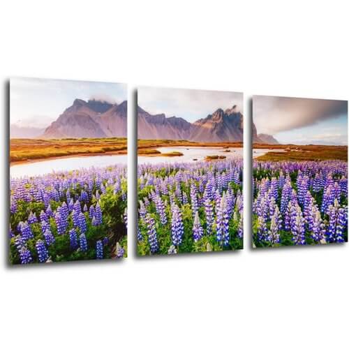 Bild Lila blossoming flowers - 150 x 70 cm (3-teiliges)