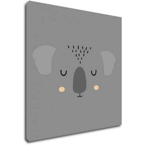 Obraz Little koala - 40 x 40 cm