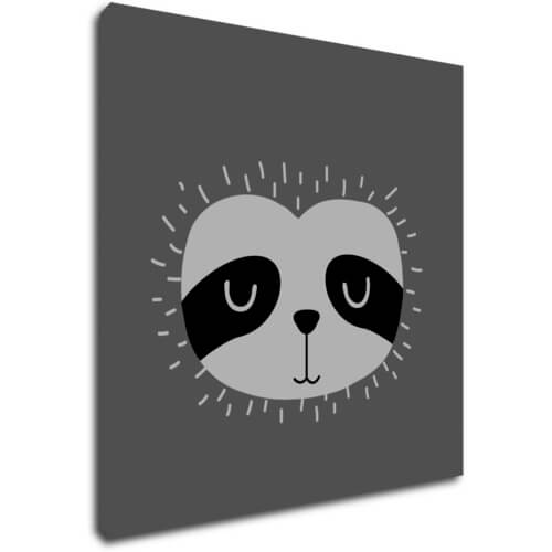 Obraz Little sloth