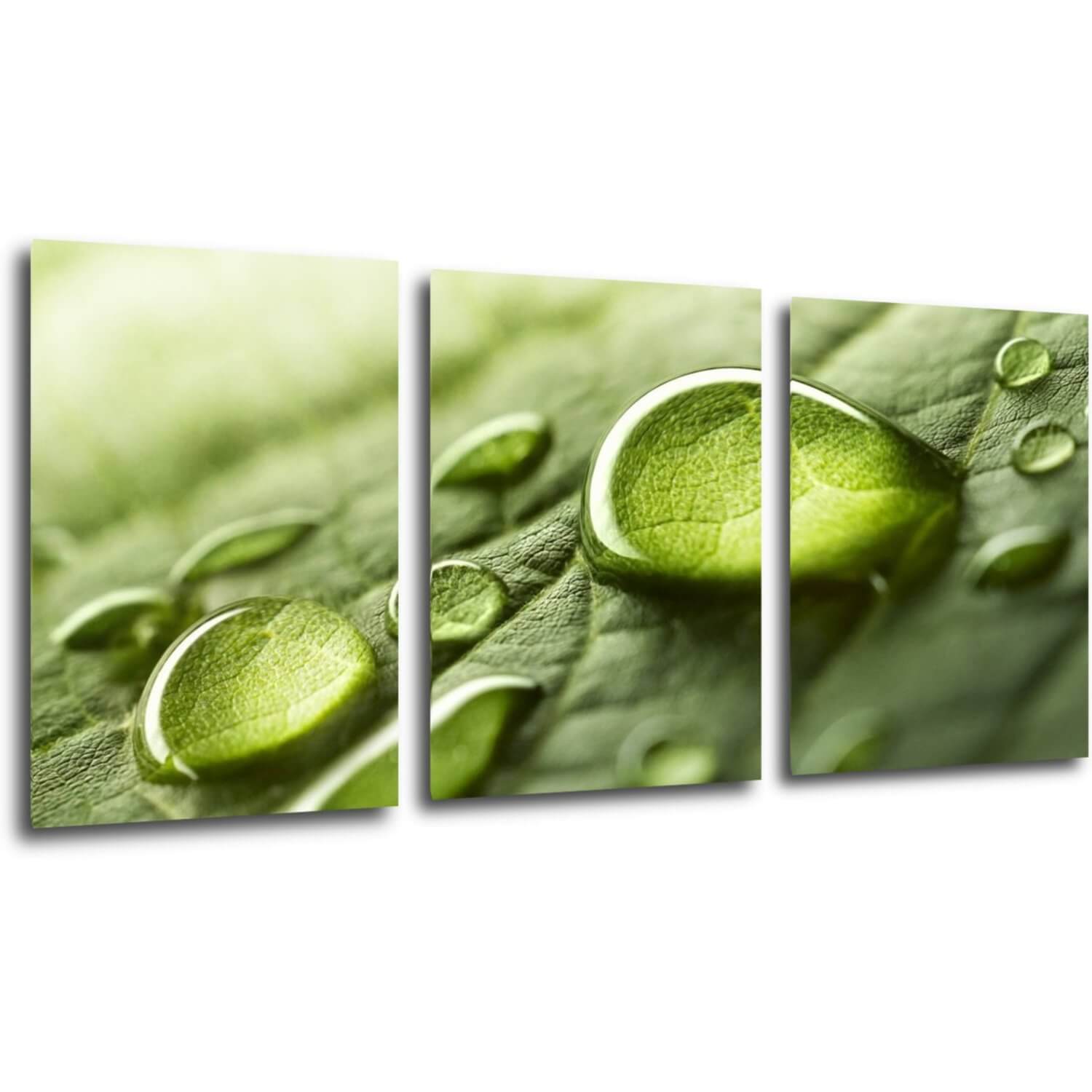 Bild Drops of water on the leaf - 150 x 70 cm (3-teiliges)