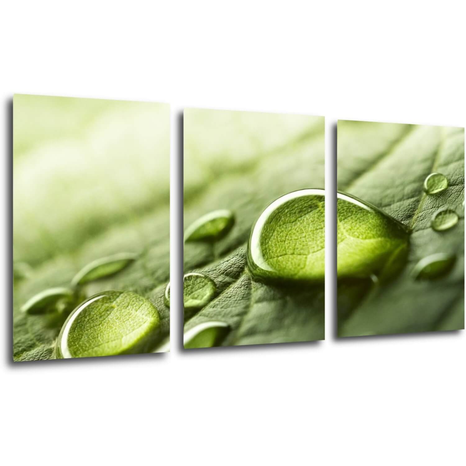 Bild Drops of water on the leaf - 120 x 60 cm (3-teiliges)