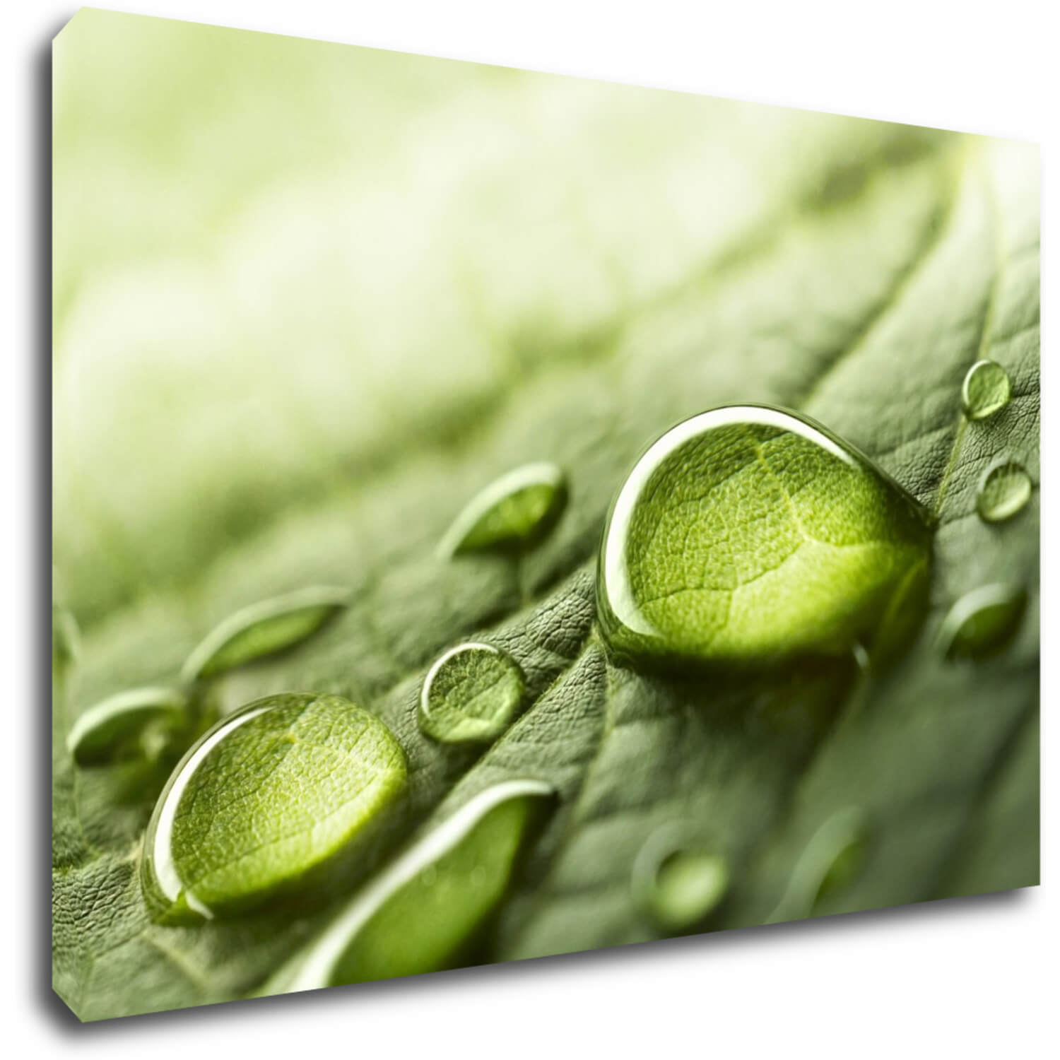 Bild Drops of water on the leaf - 90 x 60 cm