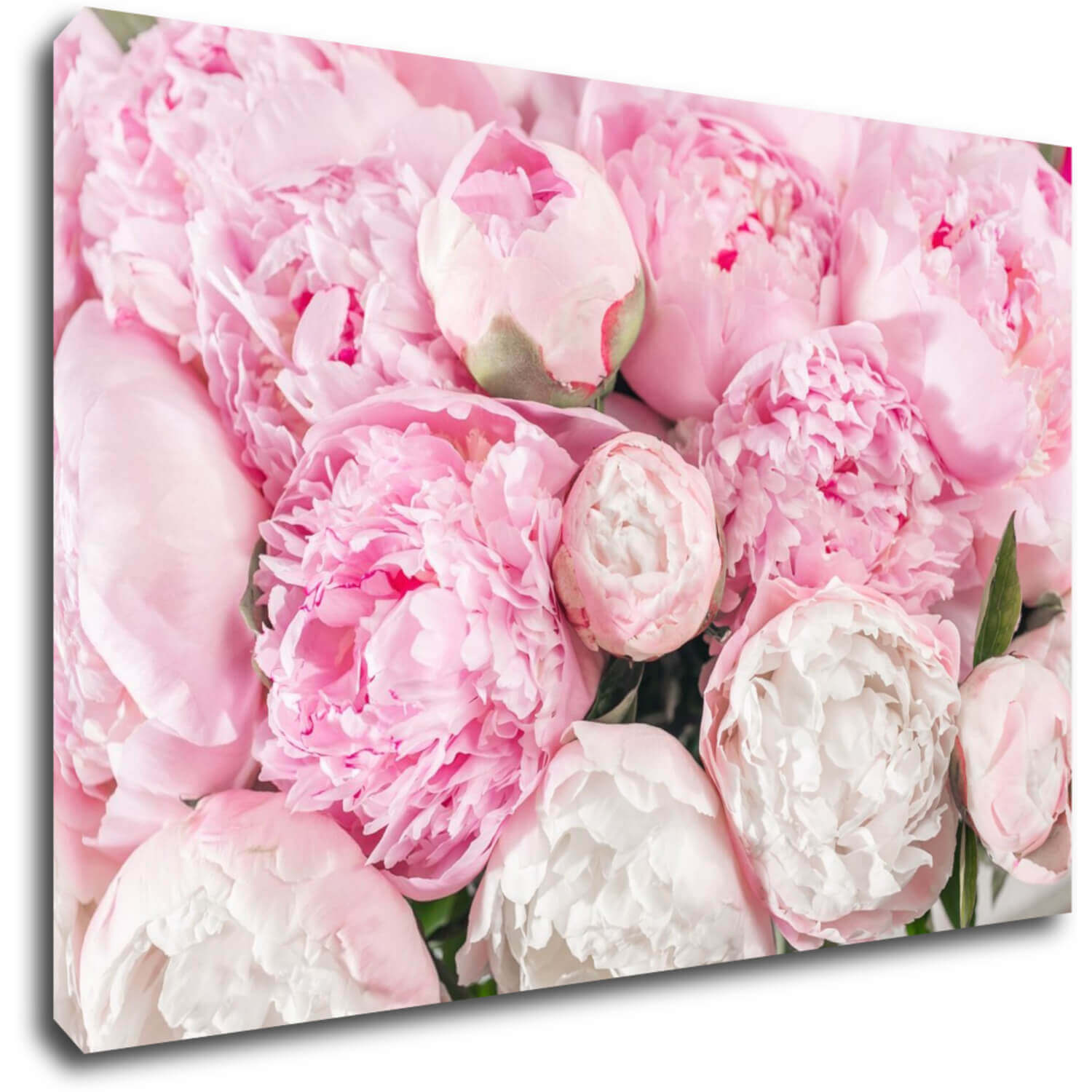 Bild Pinky flowers - 60 x 40 cm