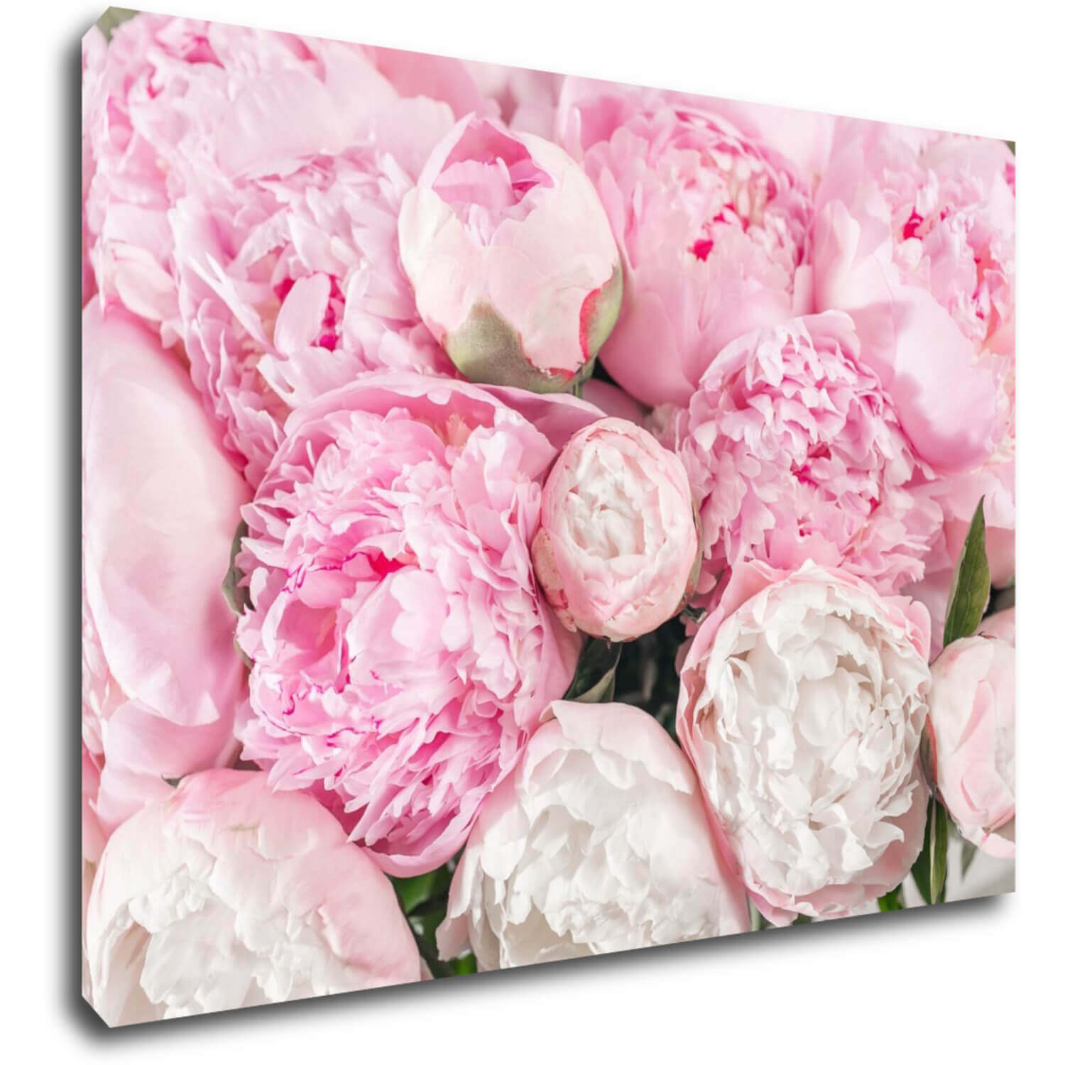 Bild Pinky flowers - 70 x 50 cm