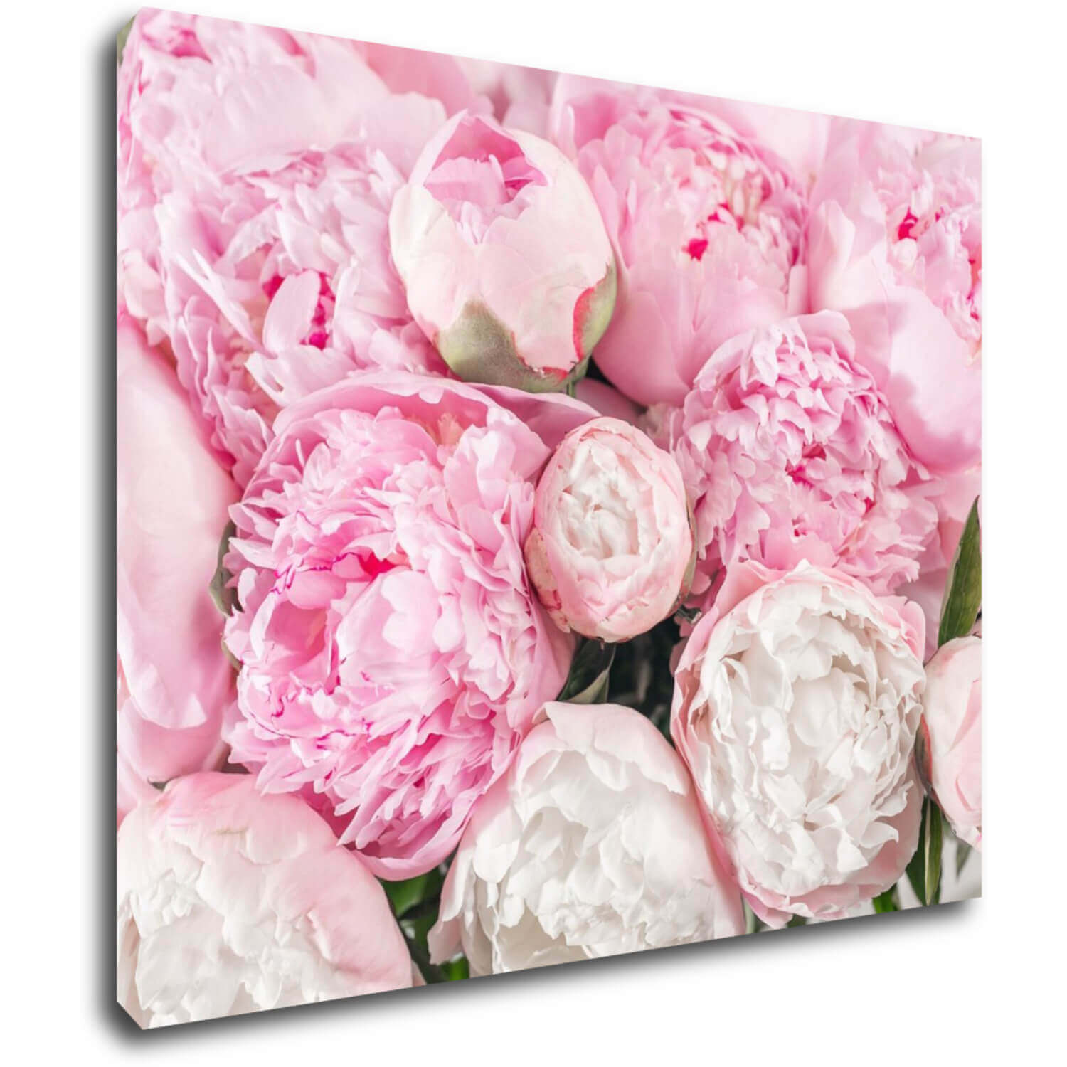 Bild Pinky flowers - 90 x 70 cm