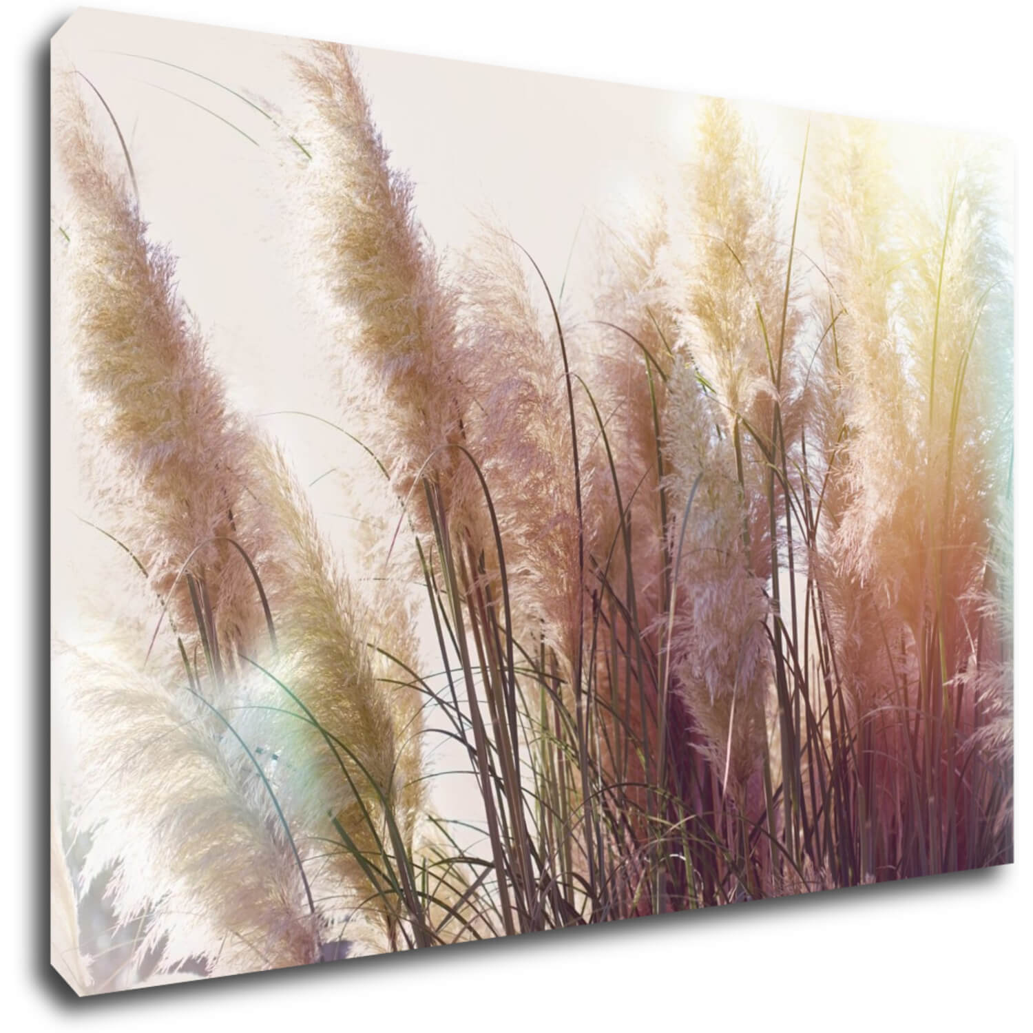 Bild Grass - 90 x 60 cm