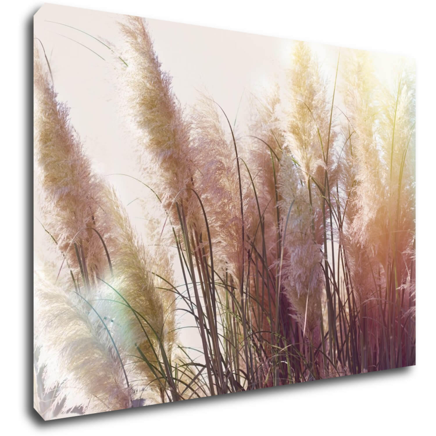 Bild Grass - 70 x 50 cm