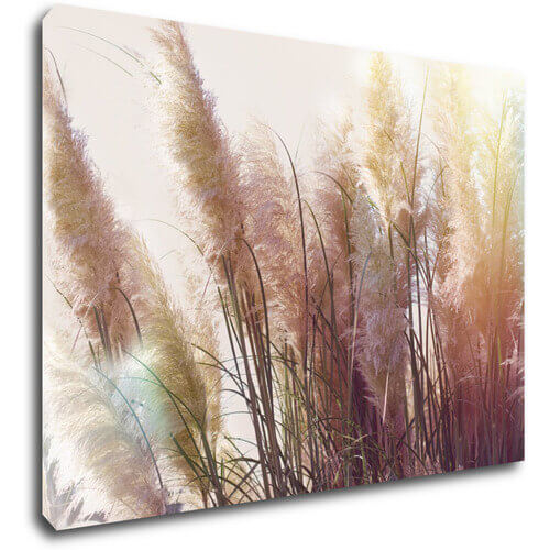 Bild Grass - 70 x 50 cm