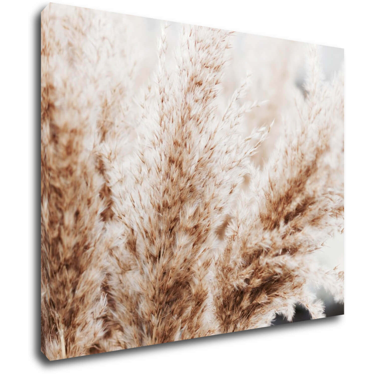 Bild Dry flowers detail - 90 x 70 cm
