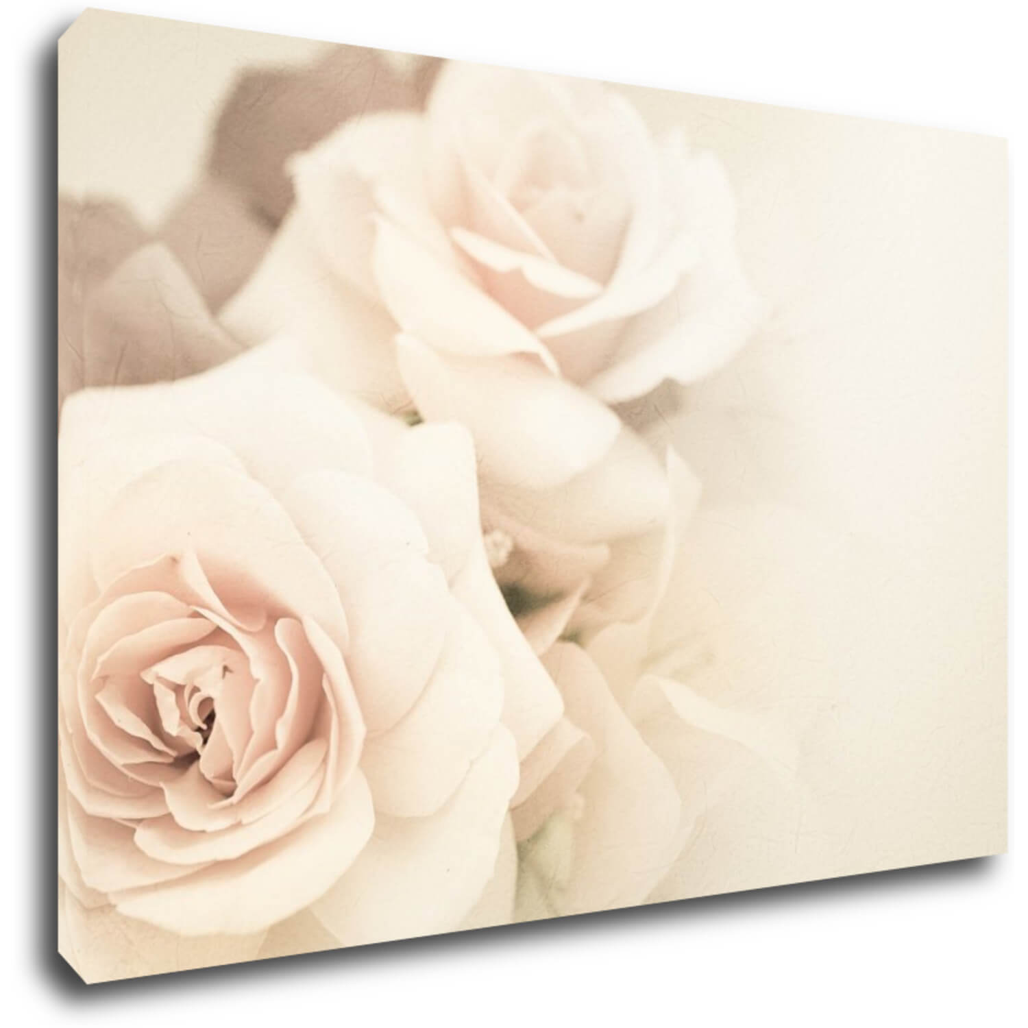 Bild White roses - 60 x 40 cm