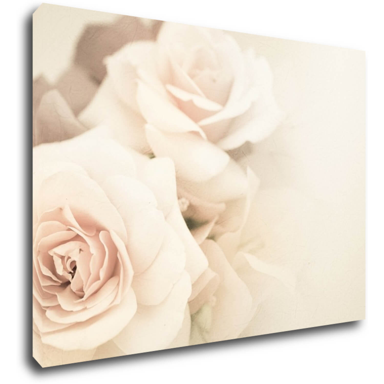 Bild White roses - 70 x 50 cm
