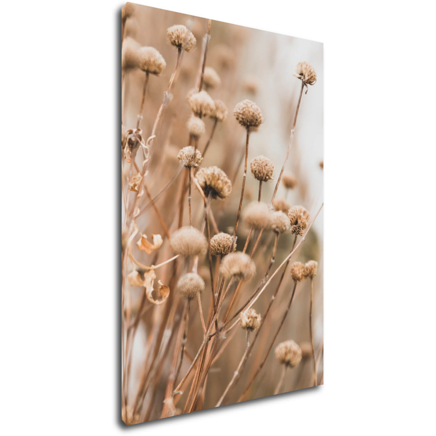 Bild Scandinavian style dry grass - 60 x 90 cm