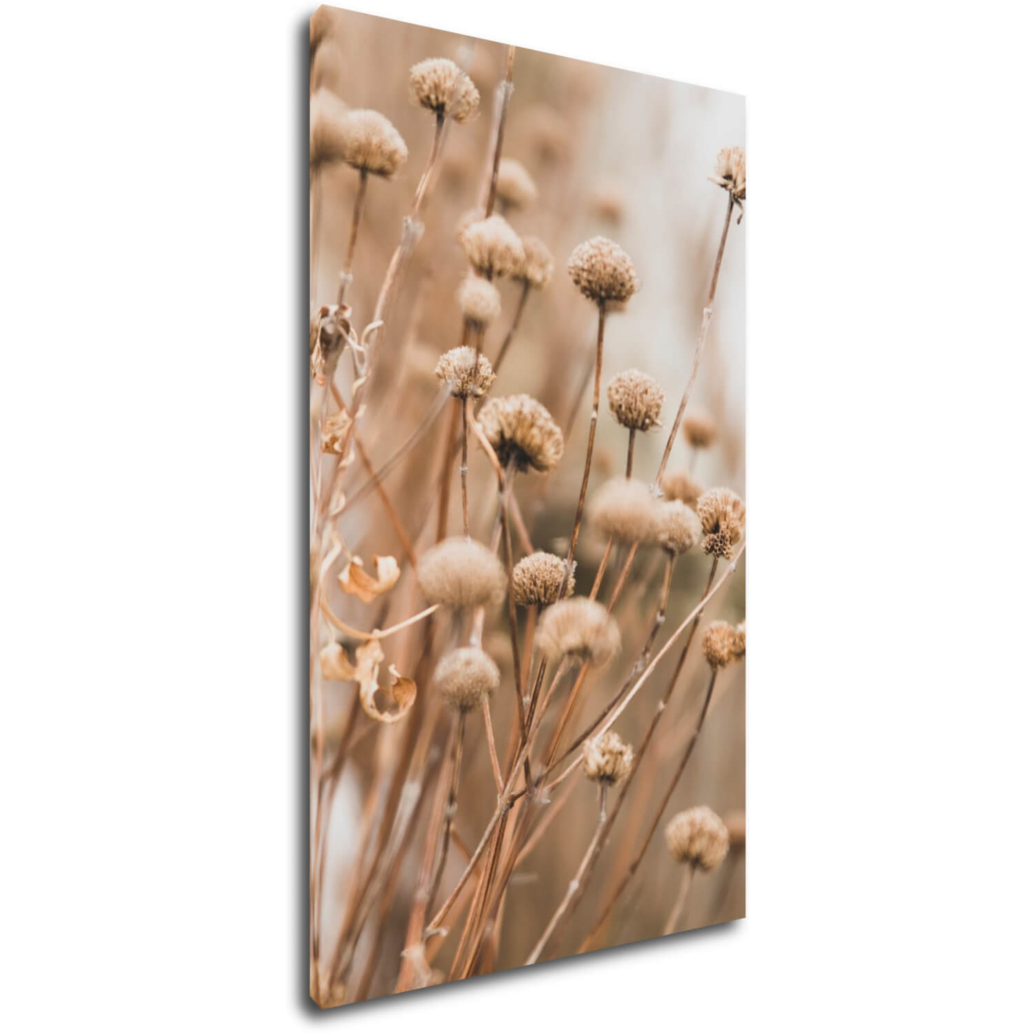 Bild Scandinavian style dry grass - 30 x 50 cm