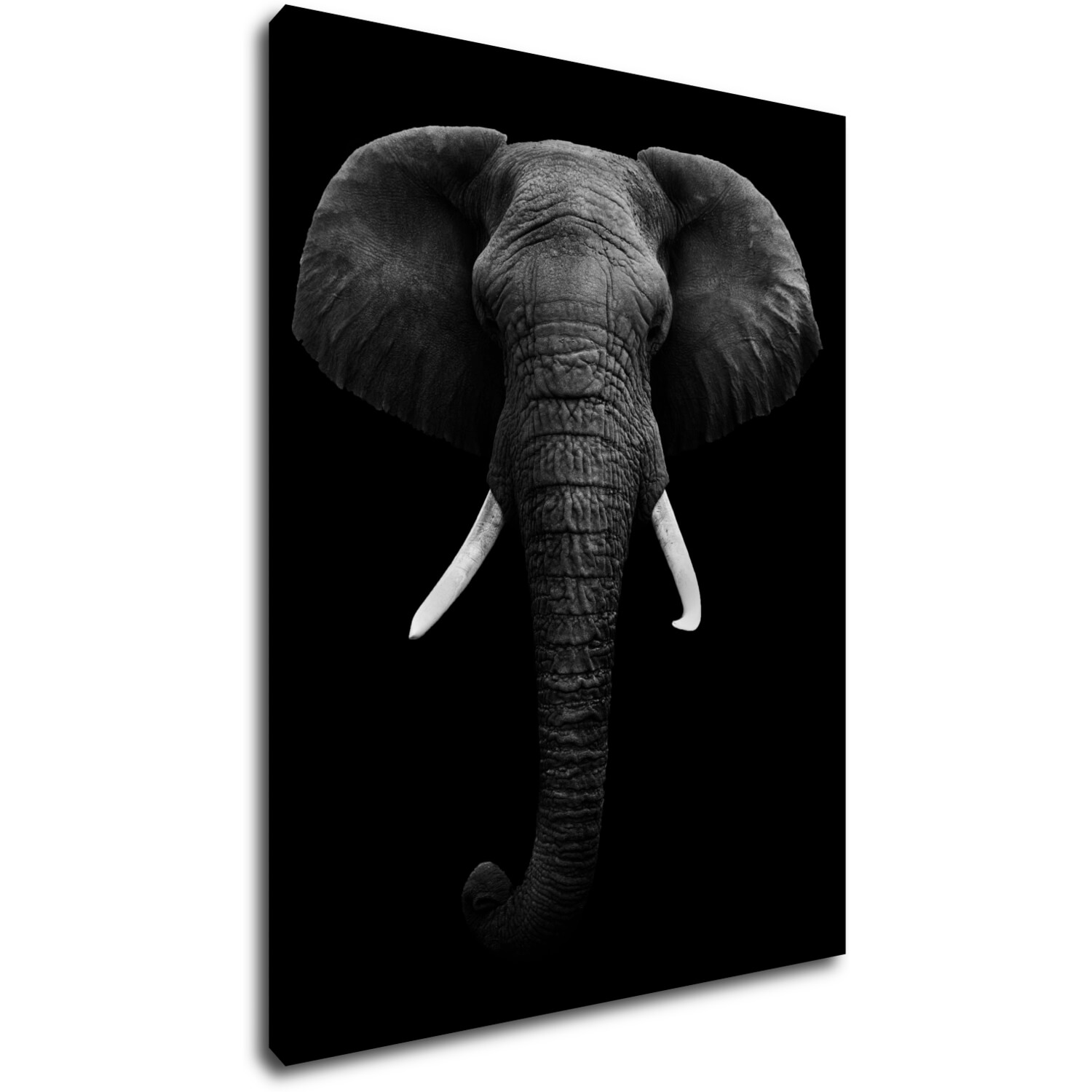 Bild Elephant dark - 70 x 90 cm