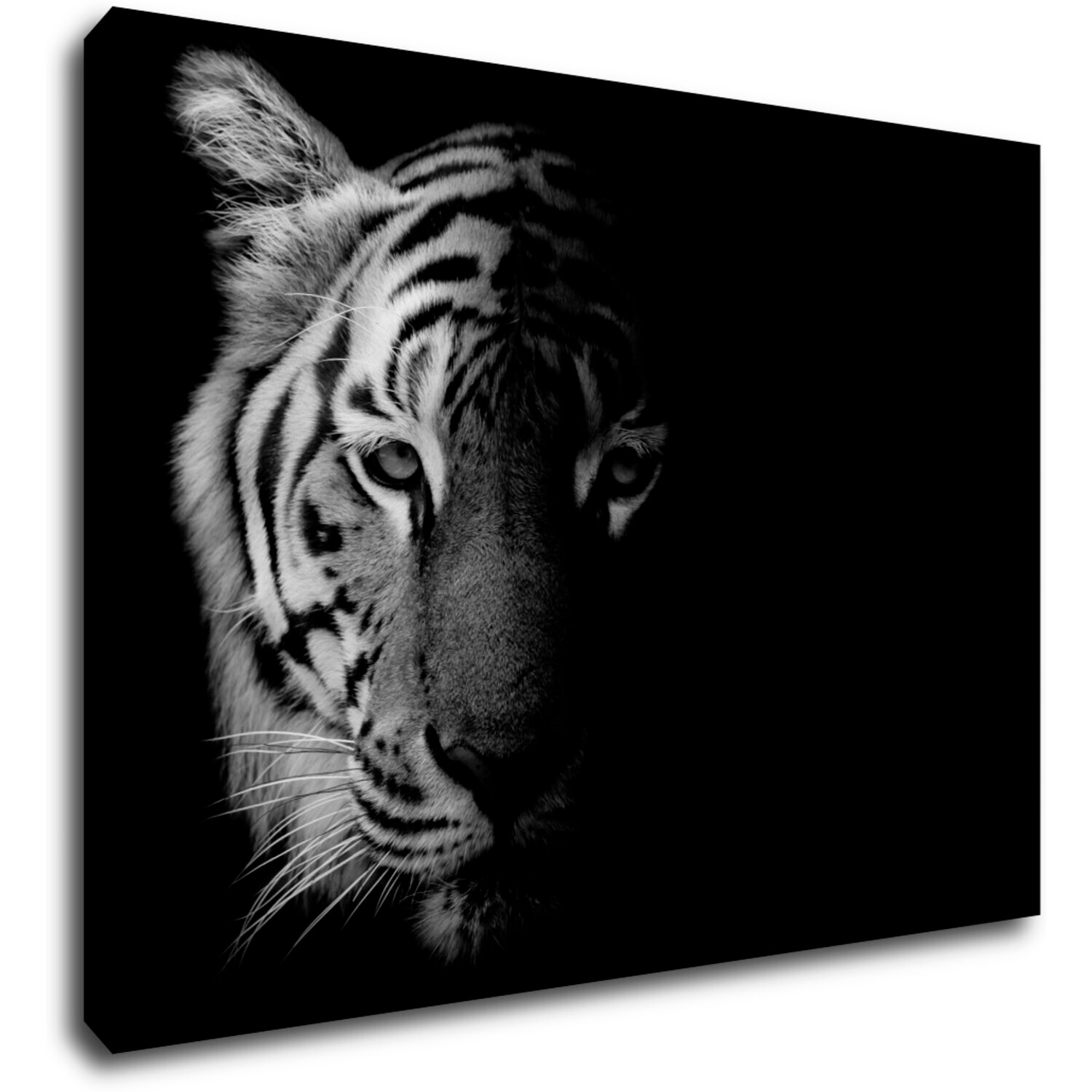 Bild Tiger black and white - 70 x 50 cm