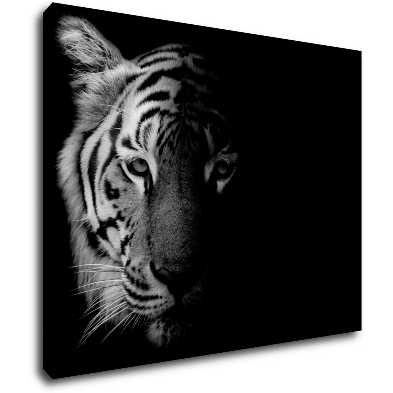 Bild Tiger black and white - 90 x 70 cm