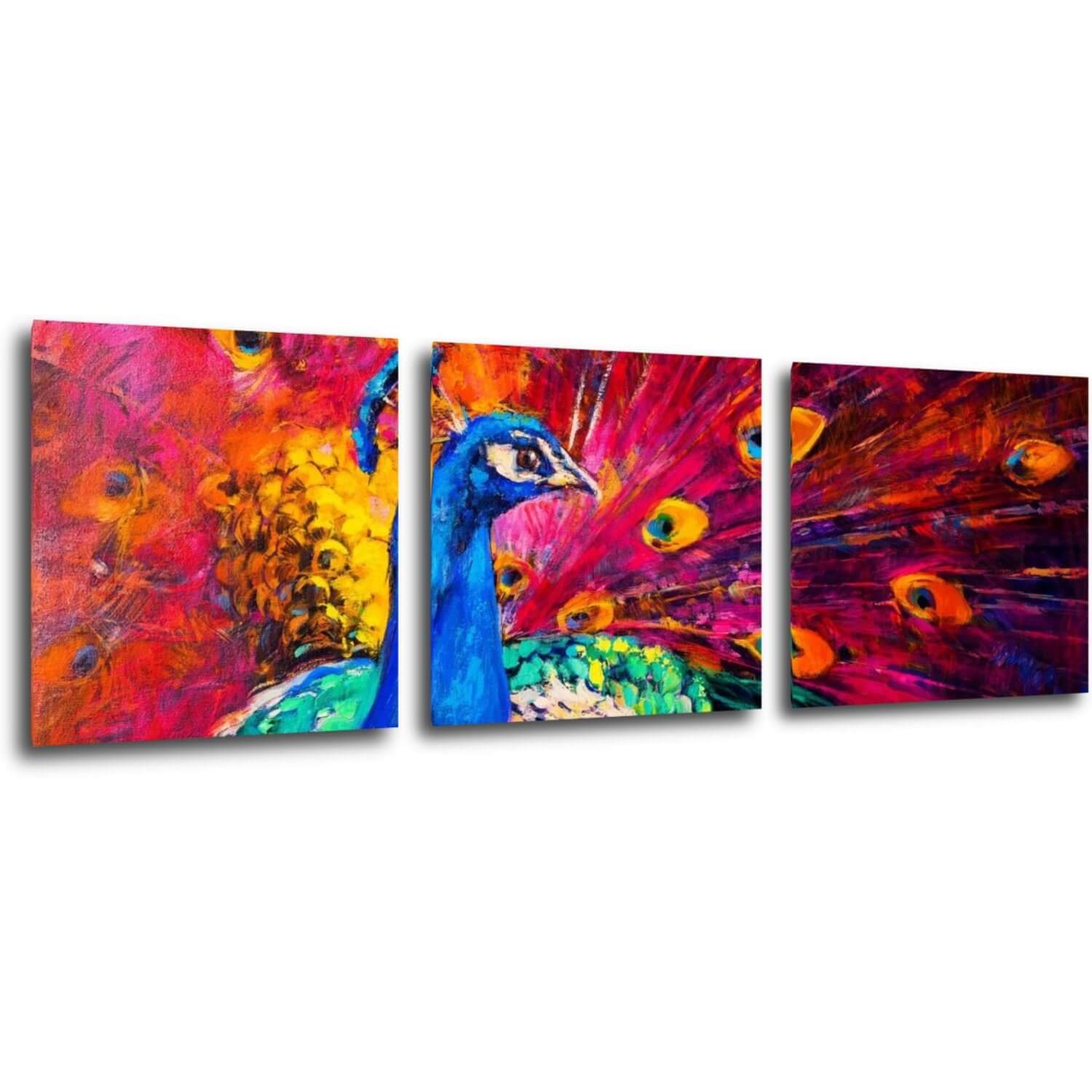 Bild Colorful Peacock - 90 x 30 cm (3-teiliges)