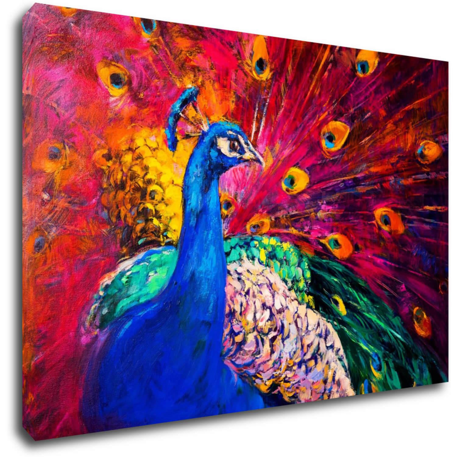 Bild Colorful Peacock - 60 x 40 cm