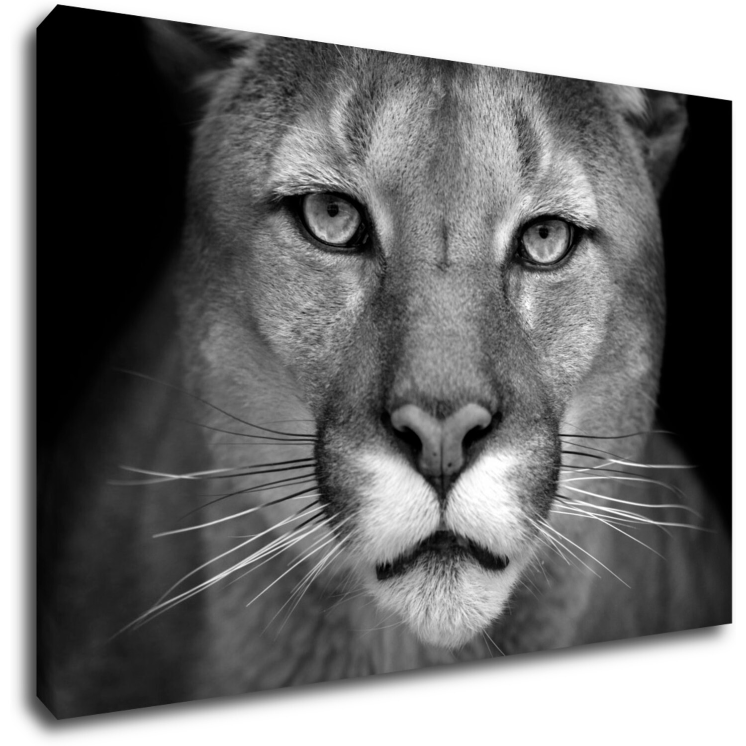 Bild Beast - 60 x 40 cm